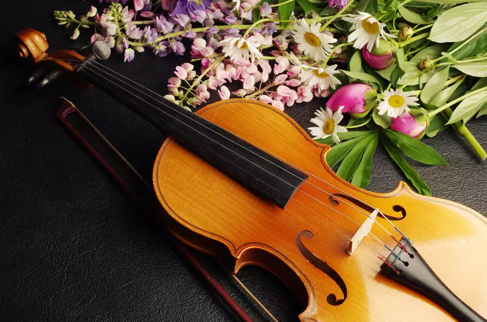 Nejkrásnější skladby popu a rocku klasicky - preview image