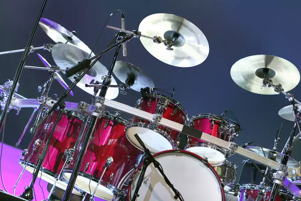 The Swamp Trio - preview image