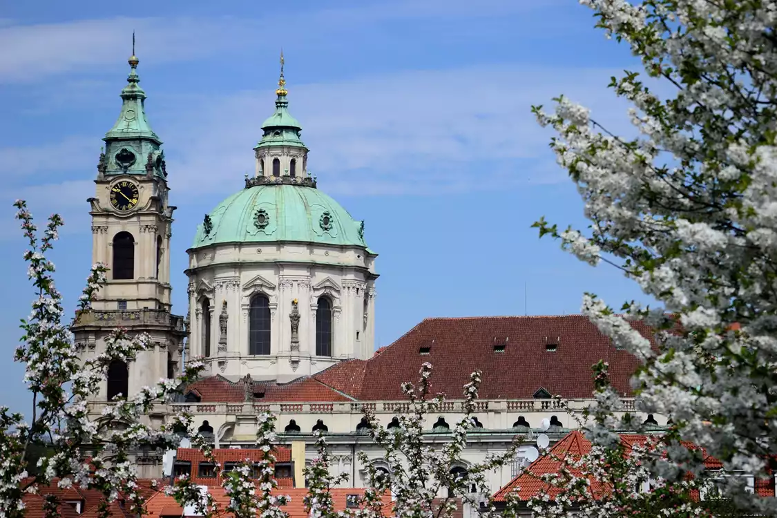 Katalog ptáků - preview image